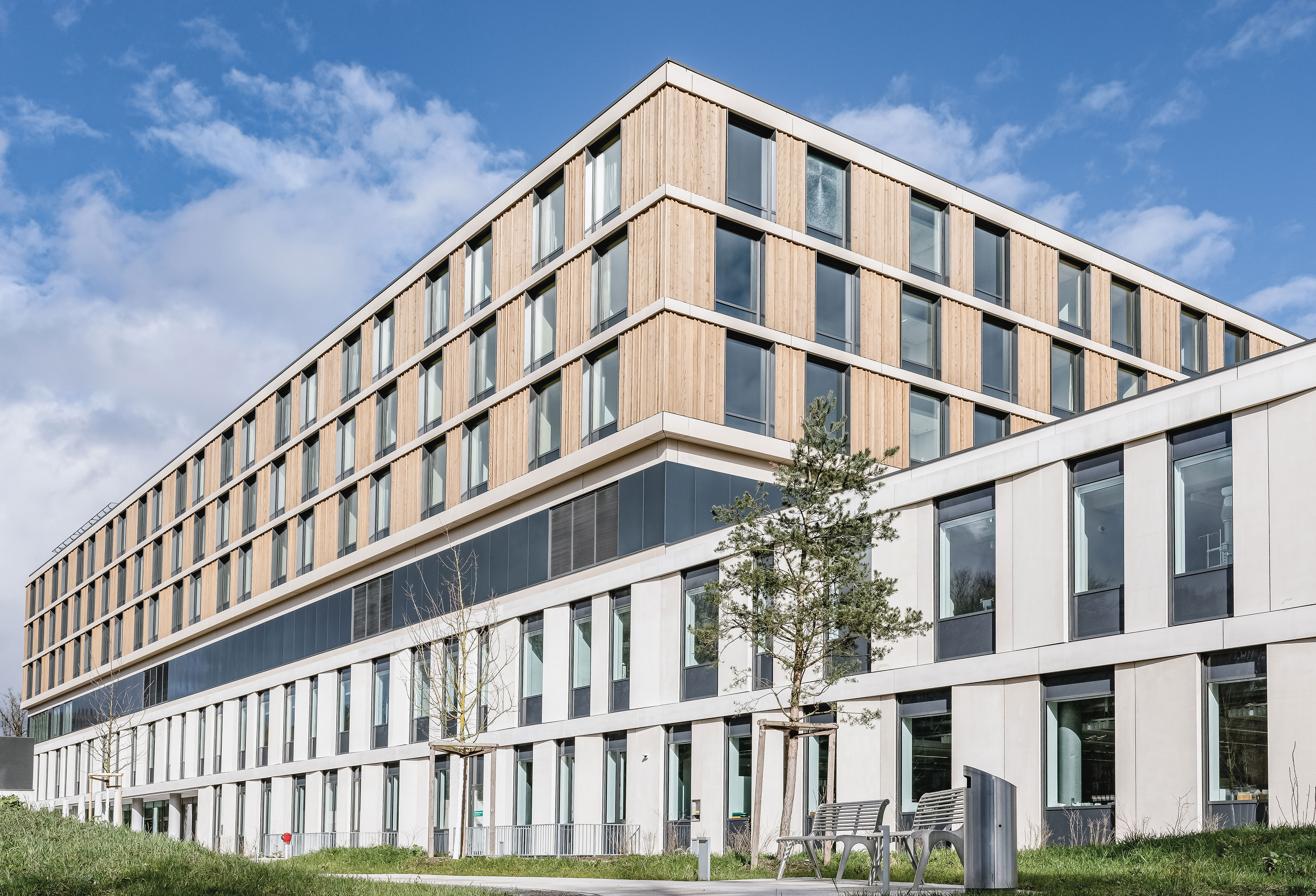 Neubau_12