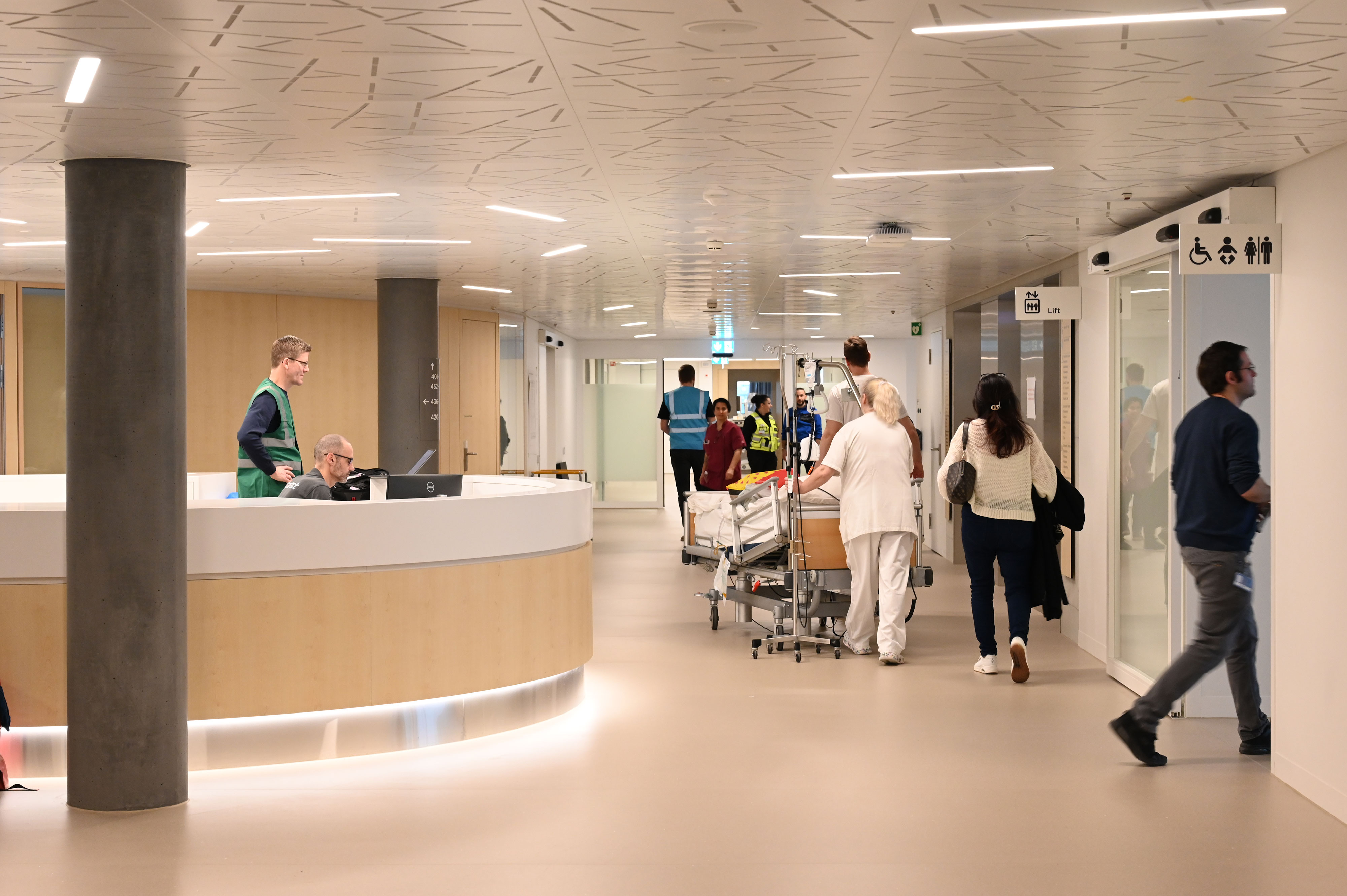 umzug_Neubau_15