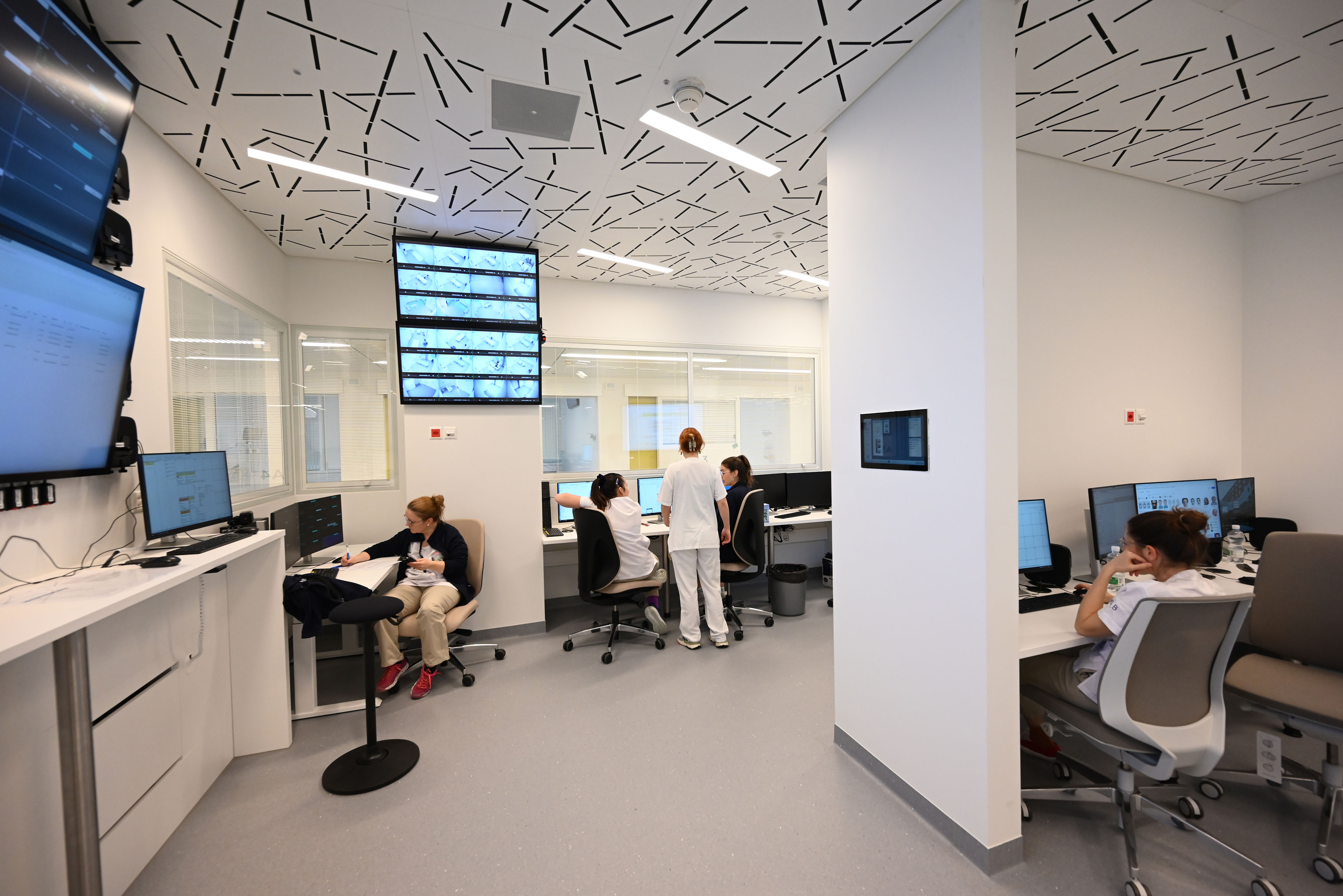 umzug_Neubau_3