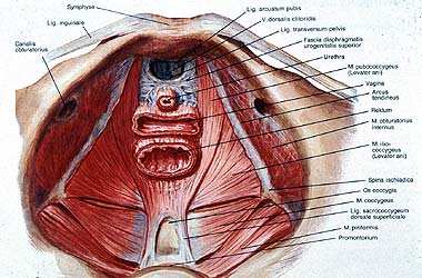 1301_bild3_p.jpg 1301_bild3_p.jpg