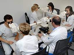pathologiebild3.jpg pathologiebild3.jpg