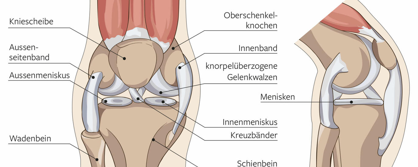 ksb_blog_meniskus_content-1-2048x950.jpg