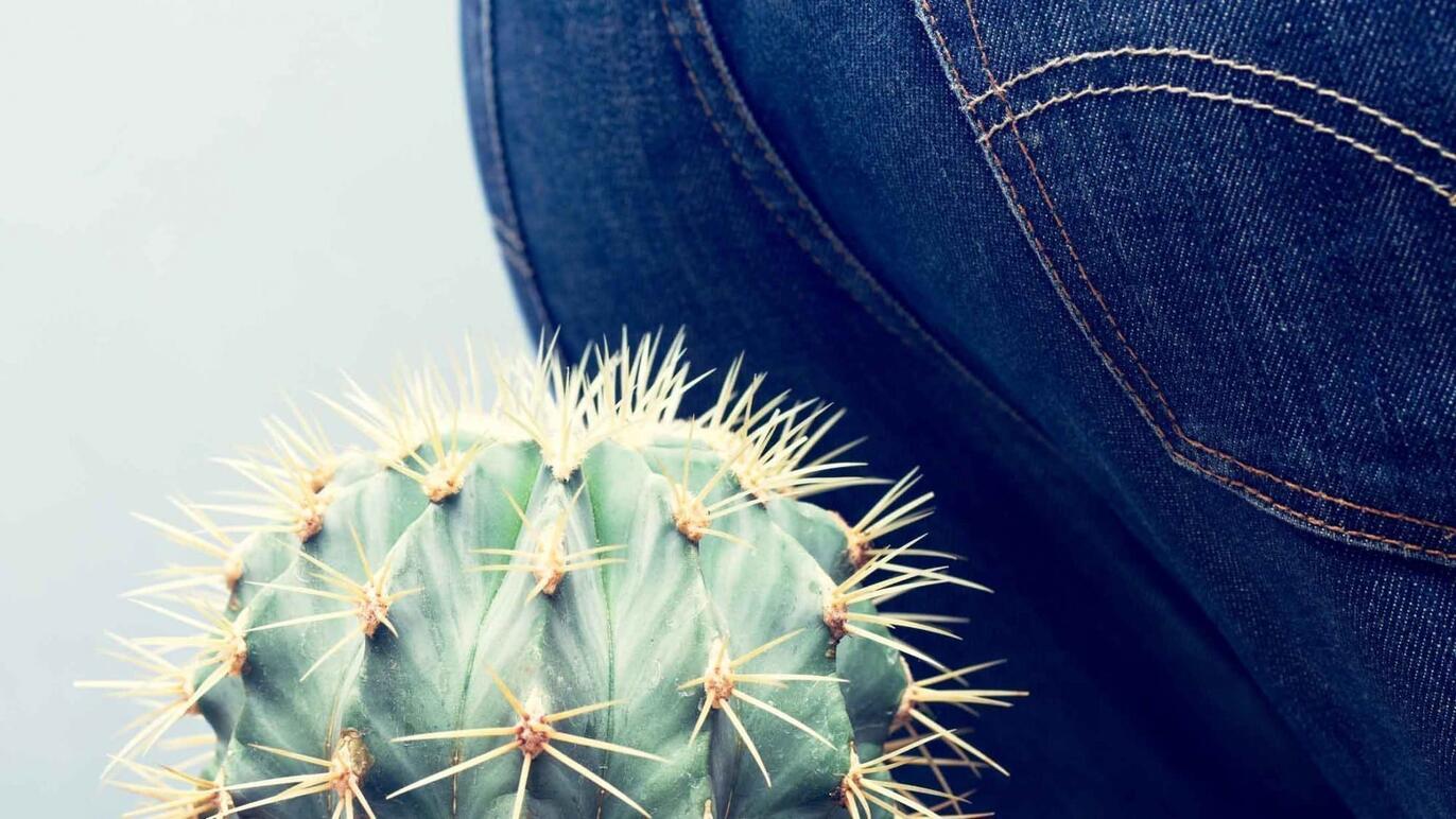 ksb_haemorrhoiden_header.jpg