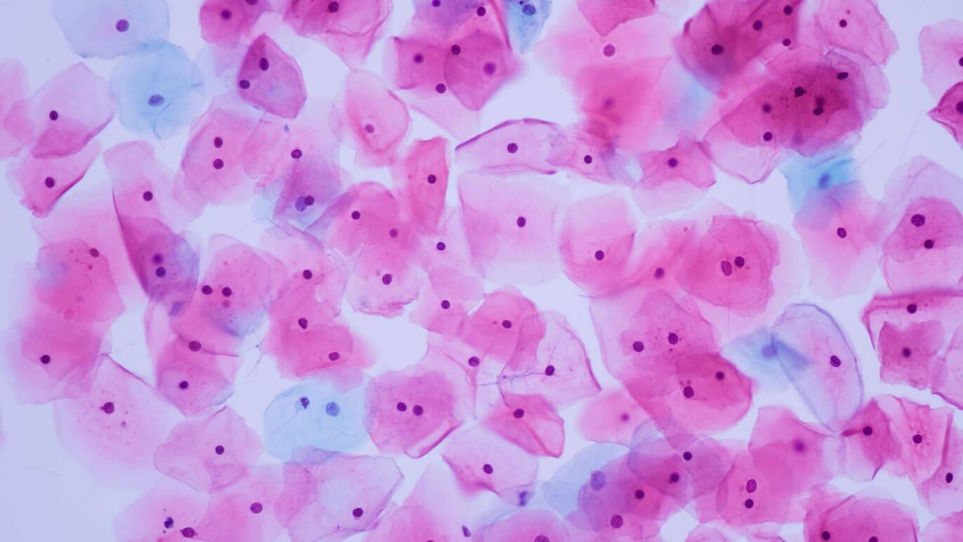 ksb-blog-pathologie-content1-2048x1152.jpg