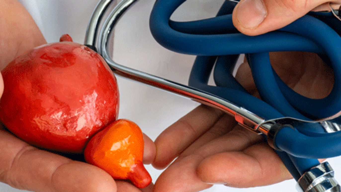 Prostata_MRI Blog Artikel