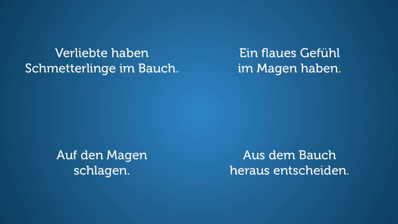 Darm und Gehirn