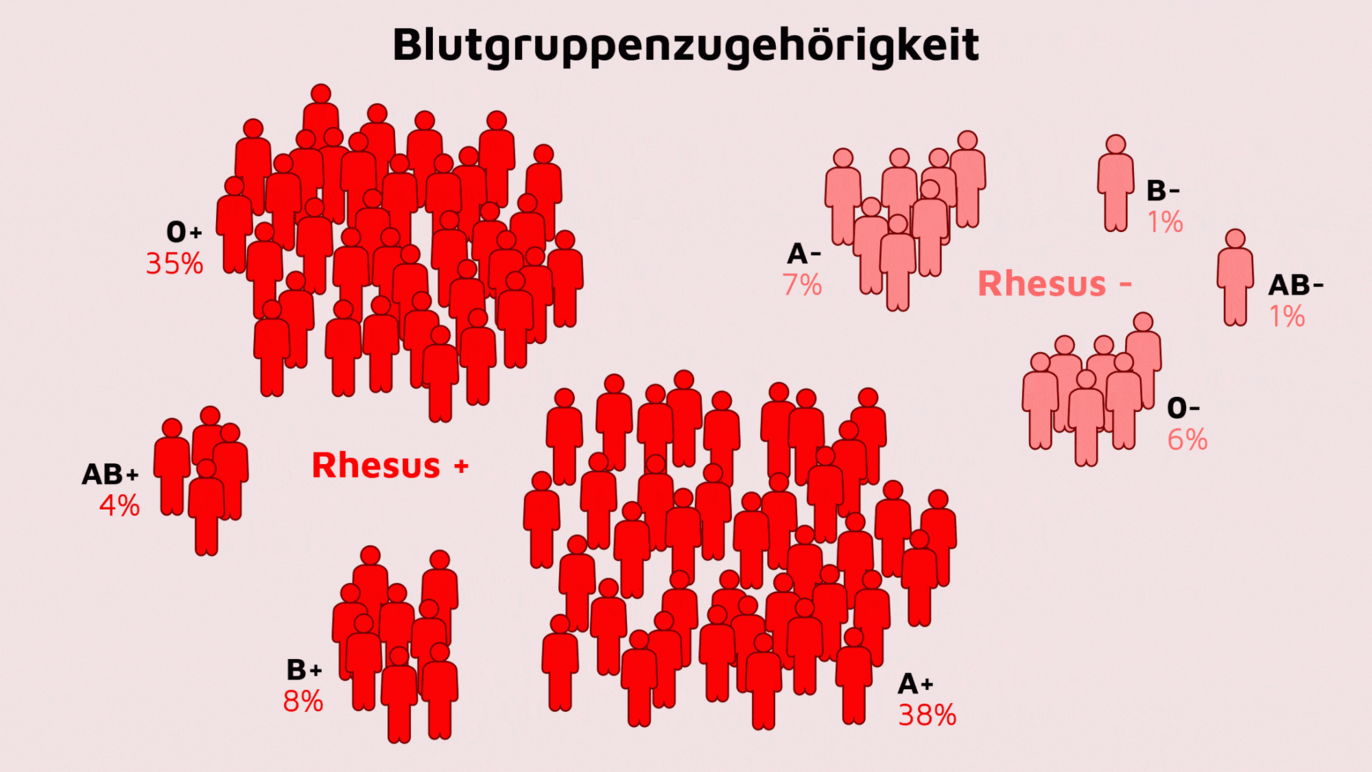 Blutgruppenanteil