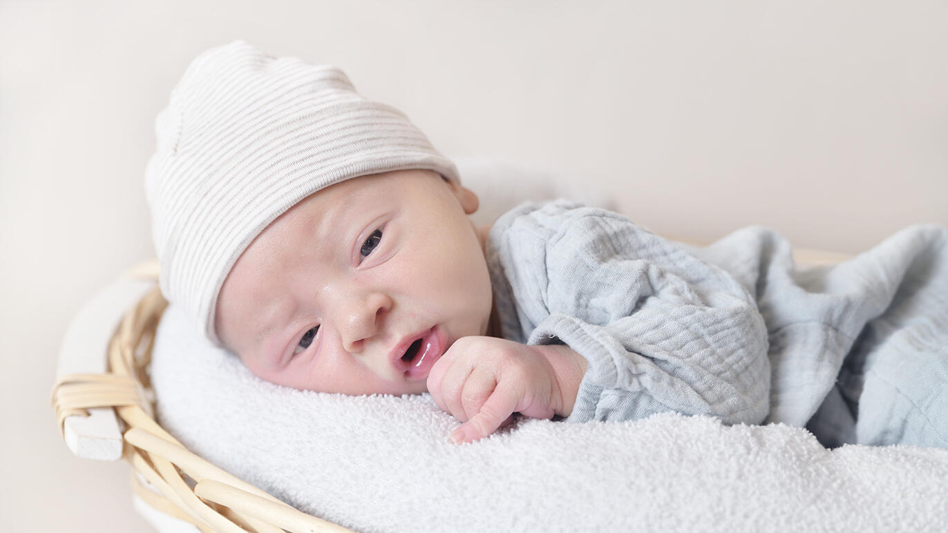 Bild von Levi Jonah