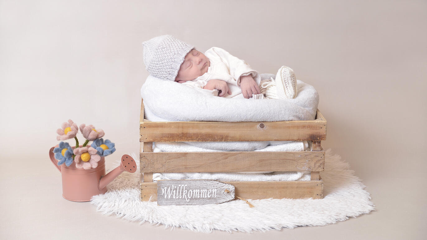 Bild von Marla Sofia