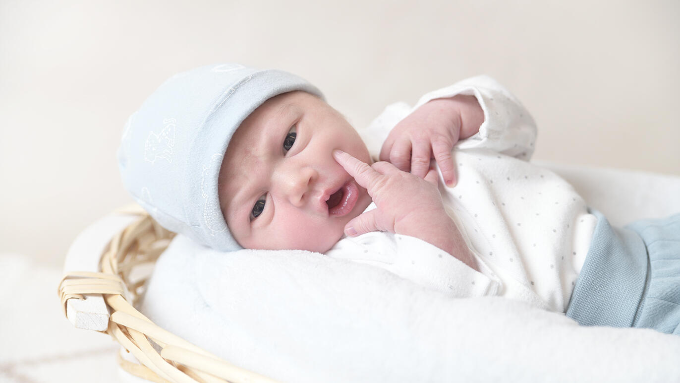 Bild von Elias