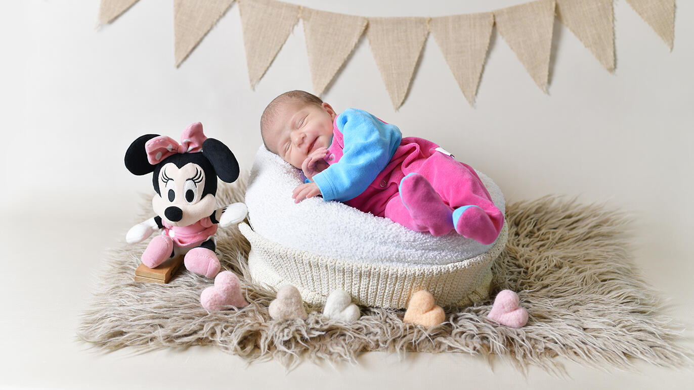 Bild von Amelia