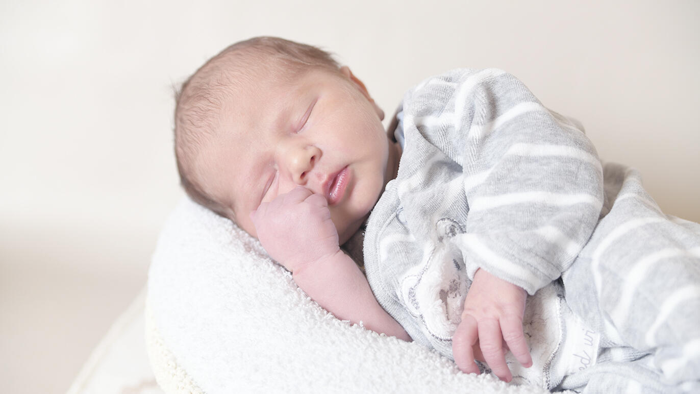 Bild von Tristan