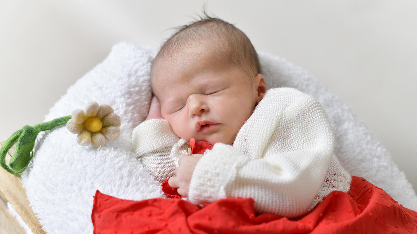 Bild von Valentina