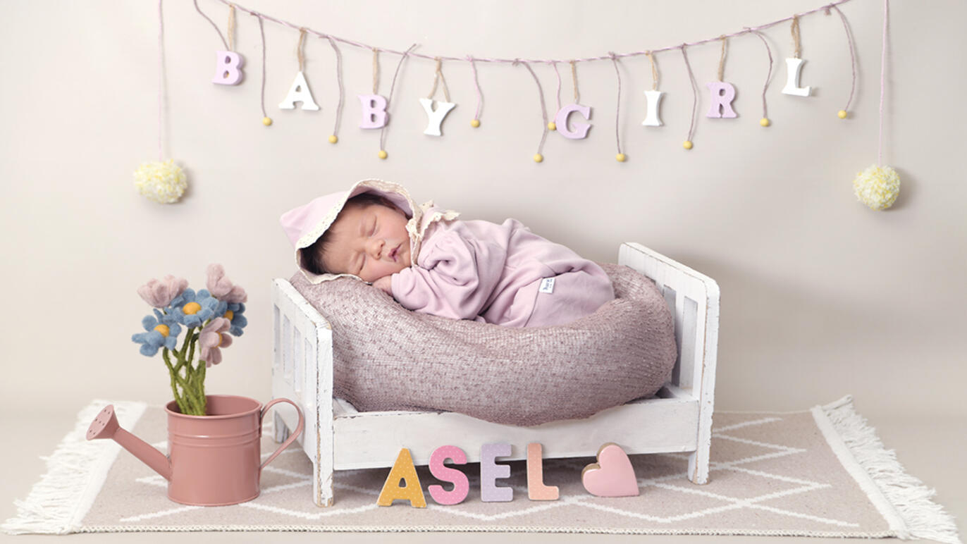 Bild von Asel