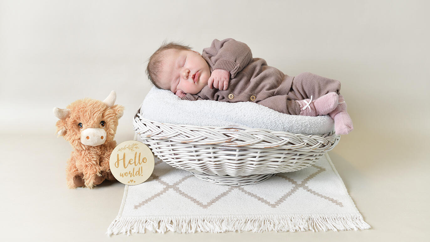 Bild von Linnea Johanna