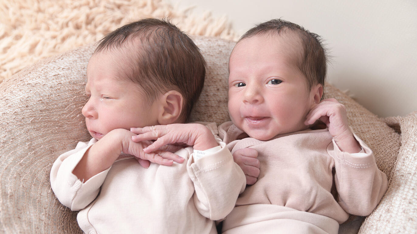 Bild von Aurelia