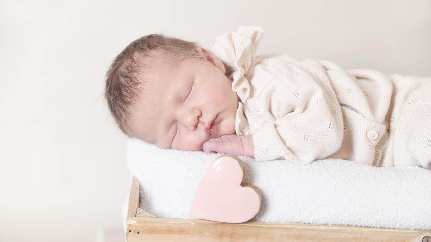 Bild von Paula Lucia