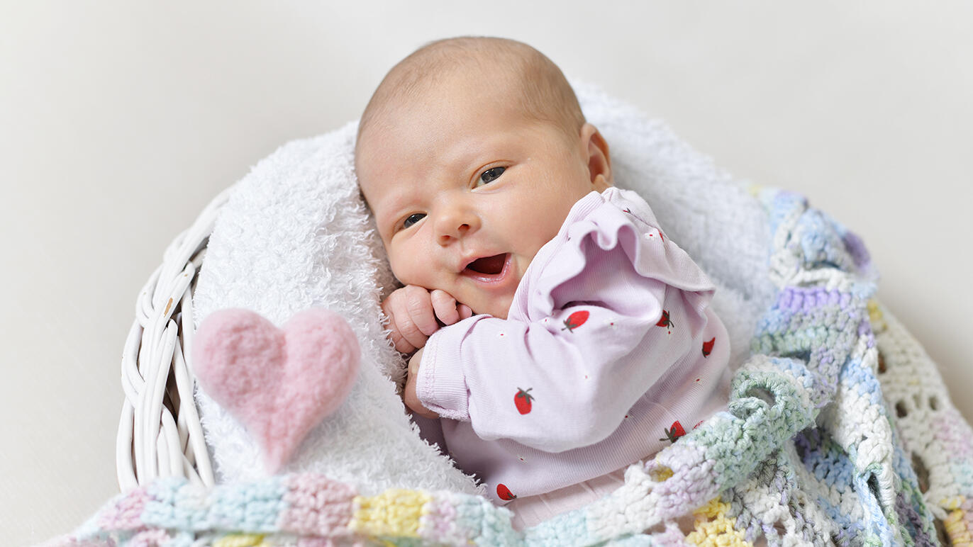 Bild von Katharina Rosa
