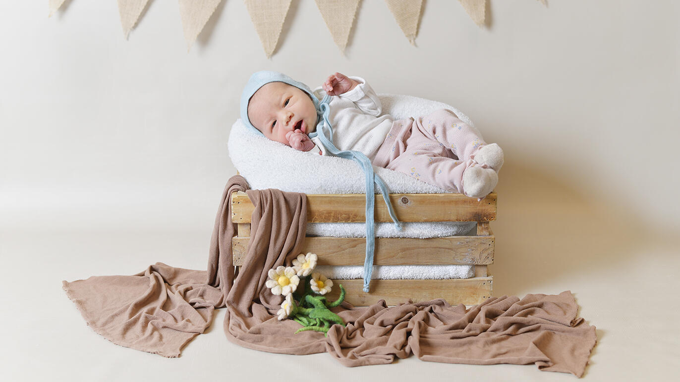 Bild von Nora Diana