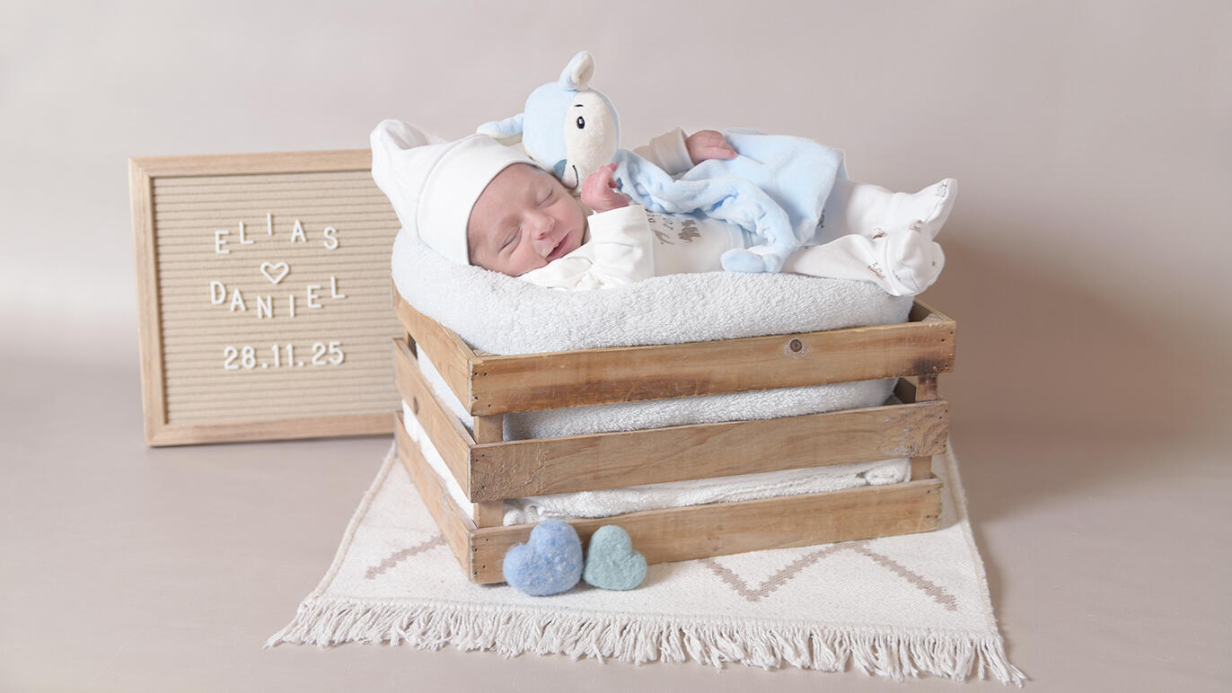 Bild von Elias Daniel