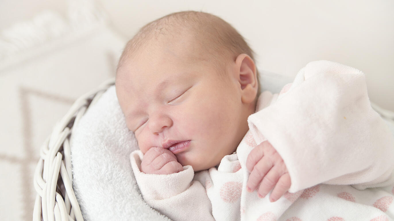 Bild von Lia Sophie