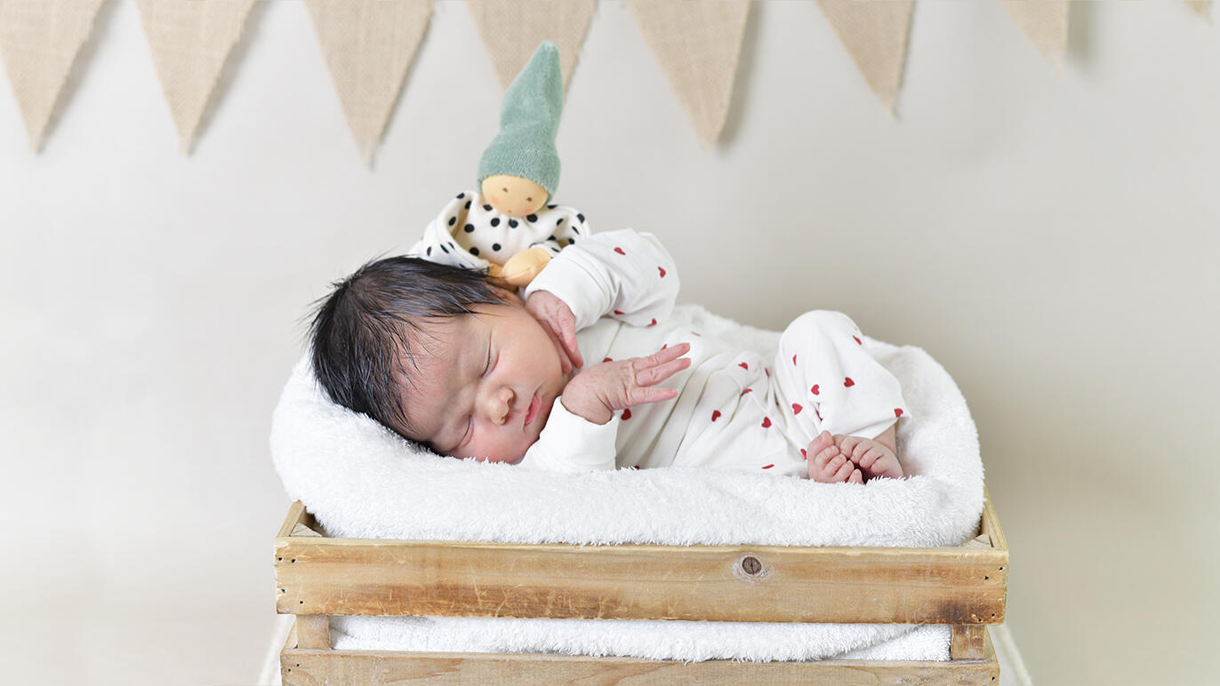 Bild von Theodor William