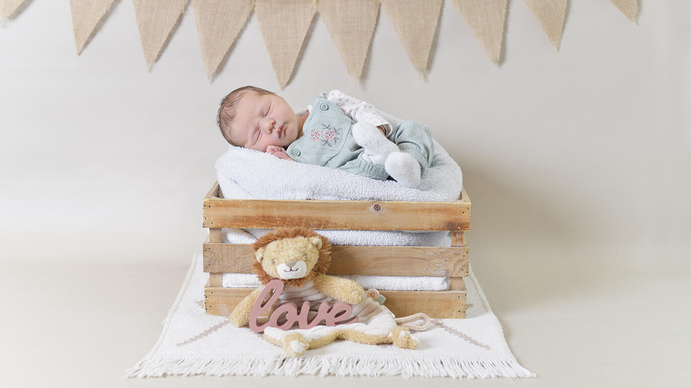 Bild von Nora