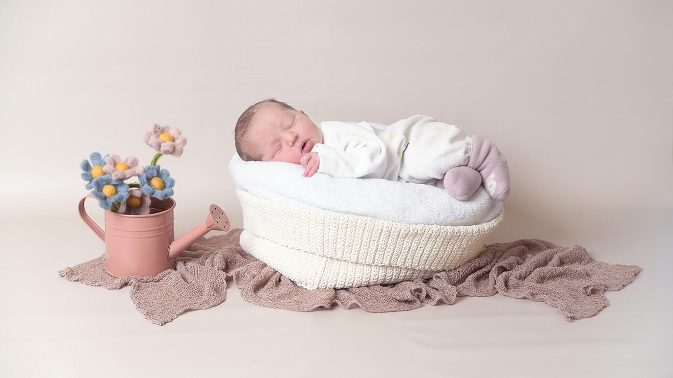 Bild von Amelie