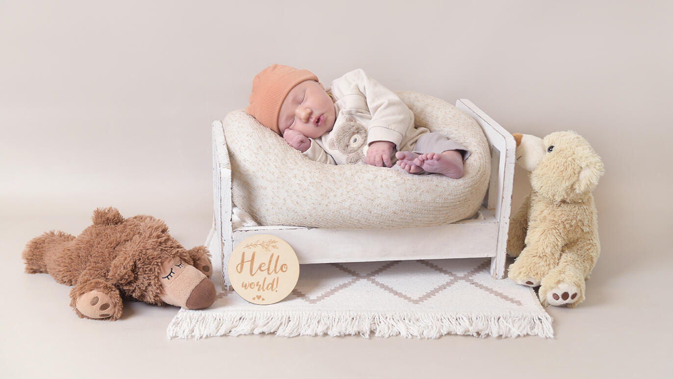 Bild von Ezra