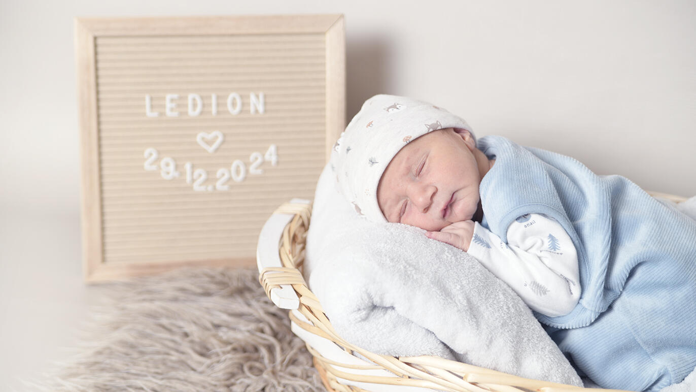 Bild von Ledion
