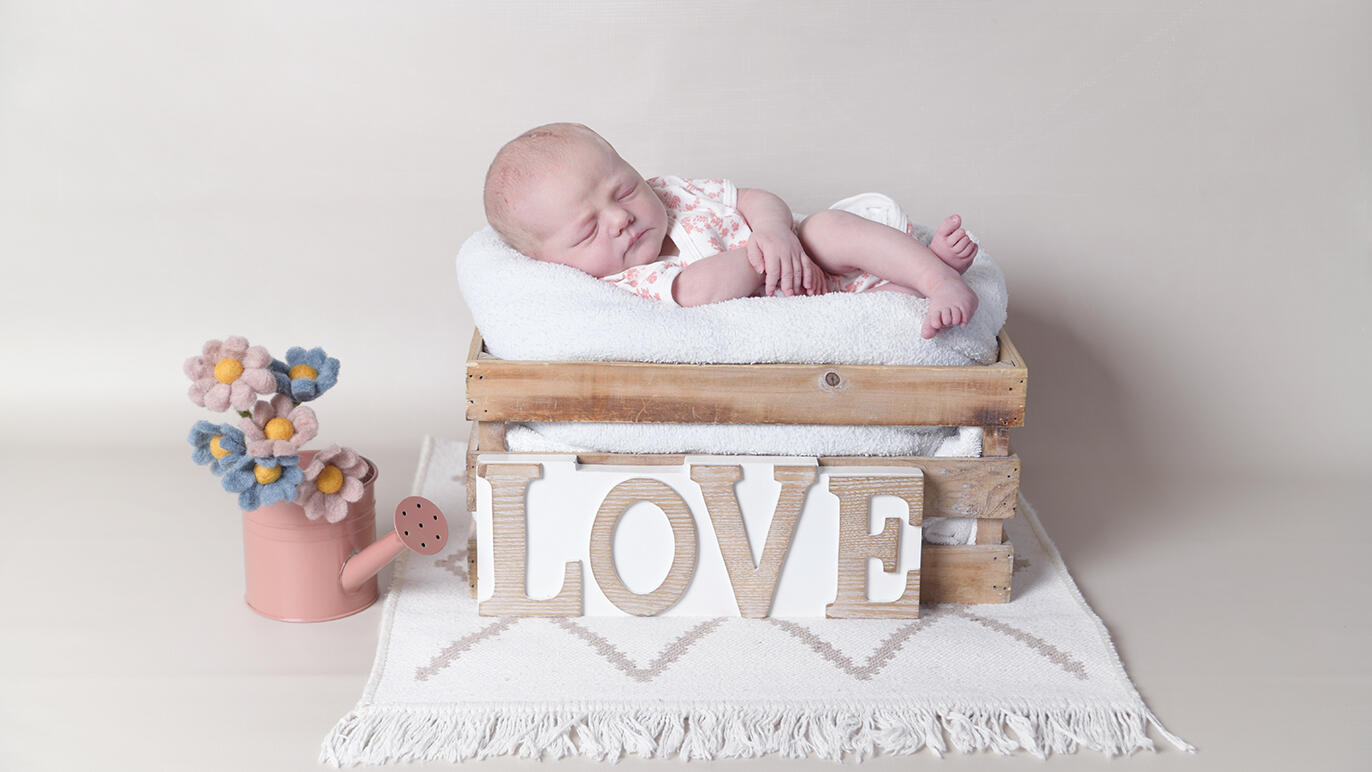 Bild von Nora Josefine