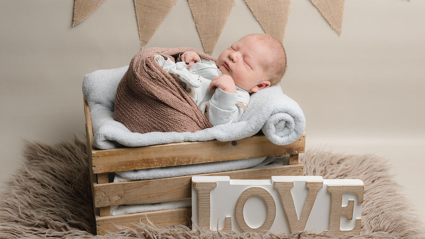 Bild von Levi