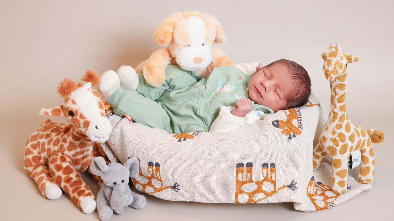 Bild von Noah Nael