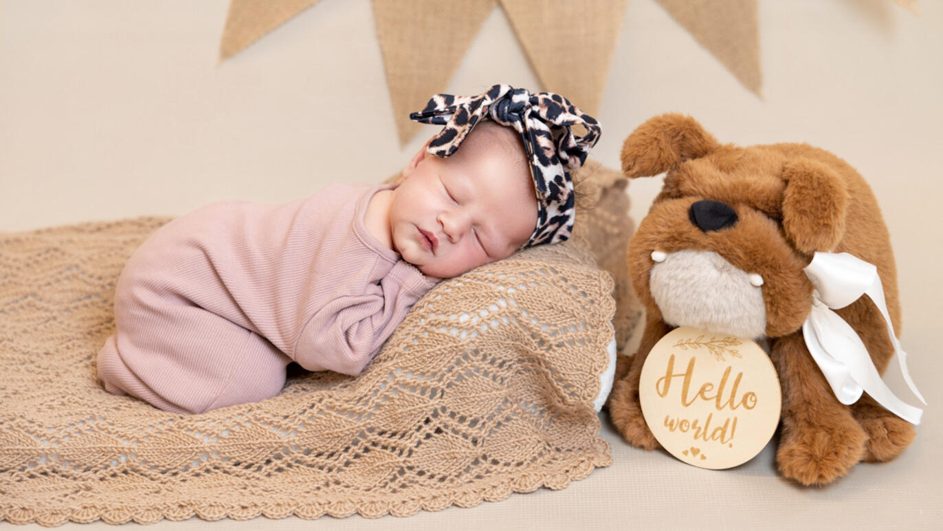 Bild von Asha Cecilia