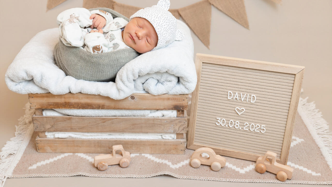 Bild von David