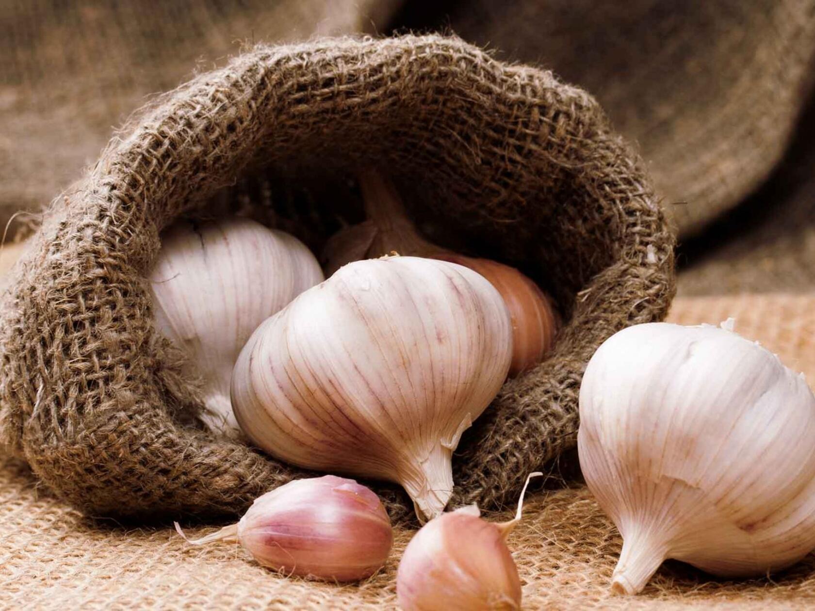 ksb_blog_saisonalelebensmittel_knoblauch.jpg