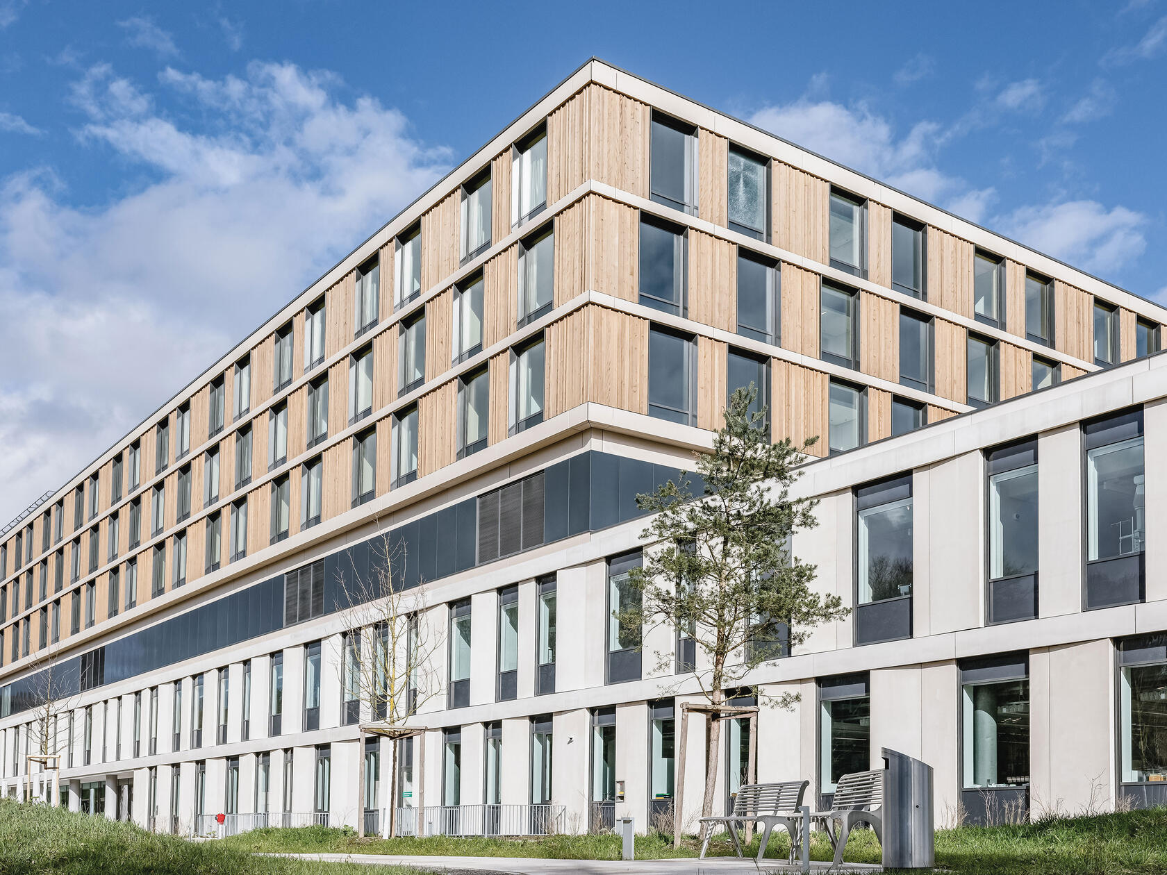 neubau_12.jpg