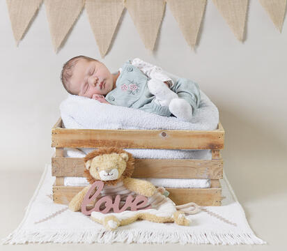 Bild von Nora