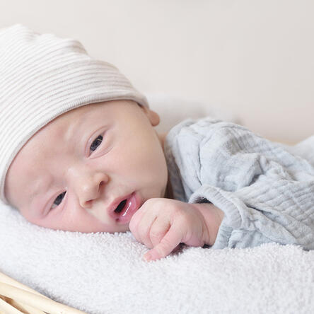 Bild von Levi Jonah