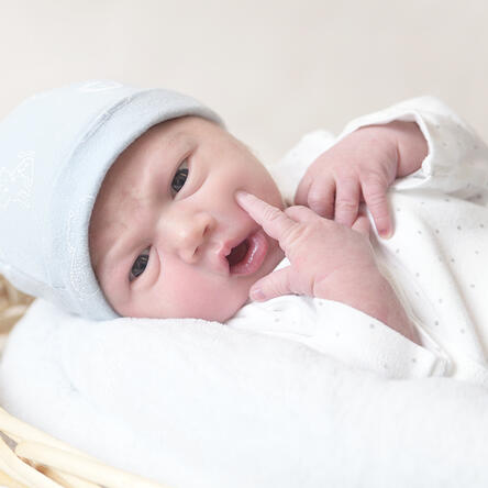Bild von Elias