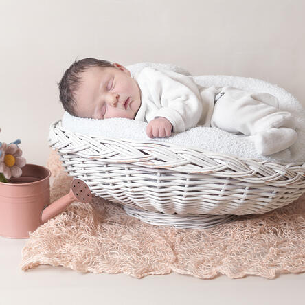 Bild von Noemi Leona
