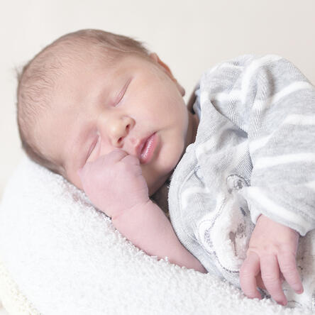 Bild von Tristan