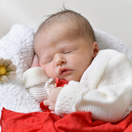 Bild von Valentina