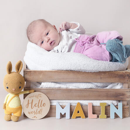 Bild von Malin