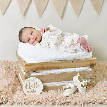 Bild von Jovana