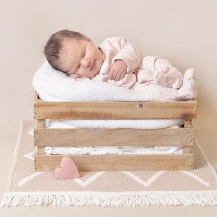 Bild von Stella Angelina