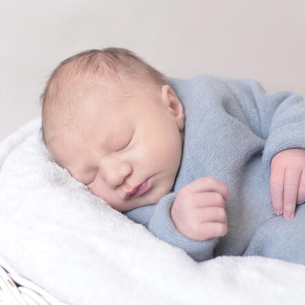 Bild von Nicolas Alexander