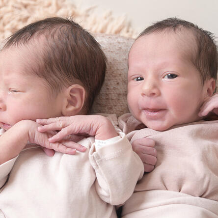 Bild von Aurelia