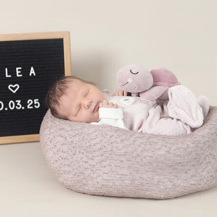 Bild von Alea