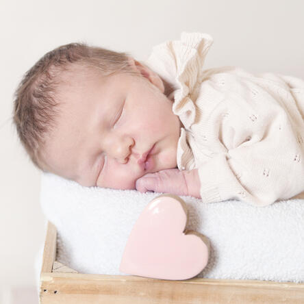 Bild von Paula Lucia